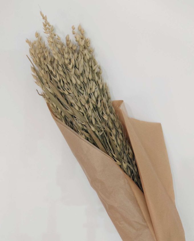 Dried Natural Oats Bunch