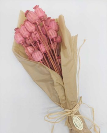 Dried Magenta Pink Papaver Bunch