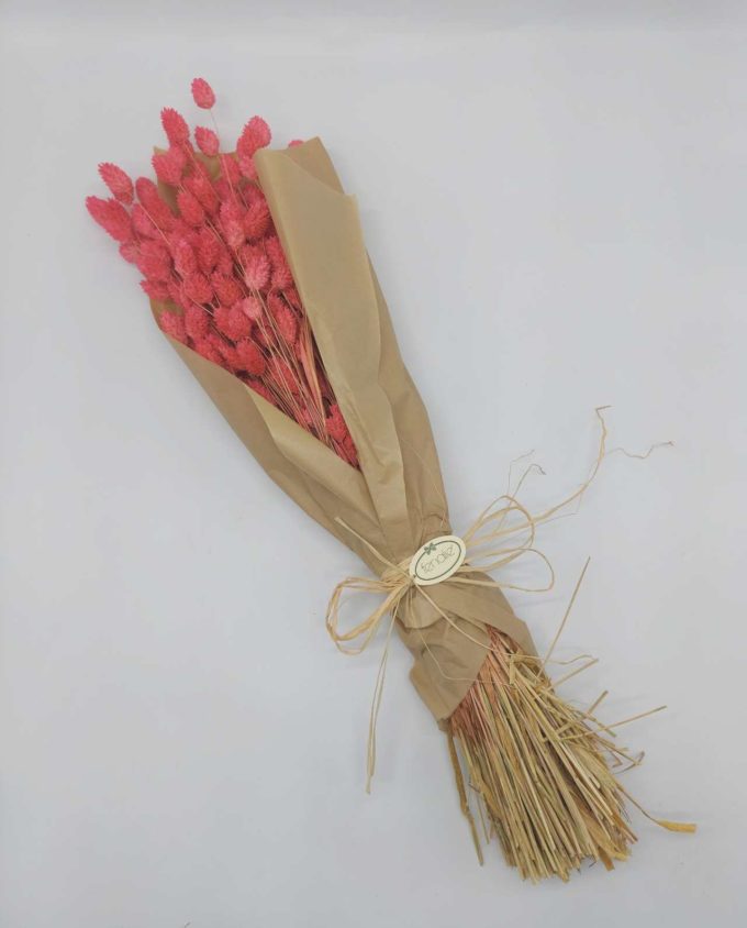Dried Magenta Pink Phalaris Bunch