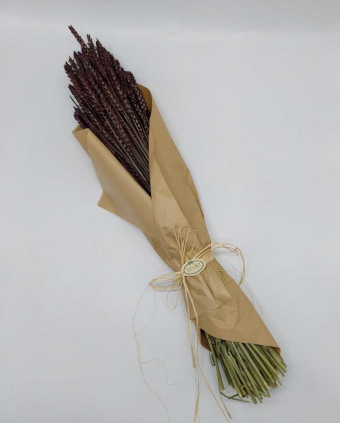 Dried Brown Wheat Bunch