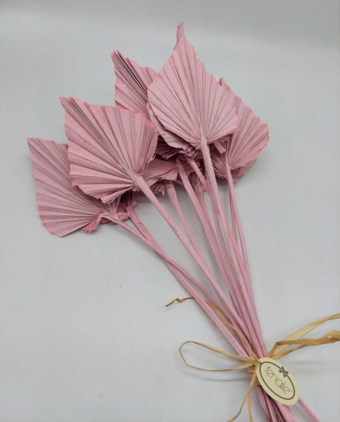 Dried Light Pink Palmspear Bunch