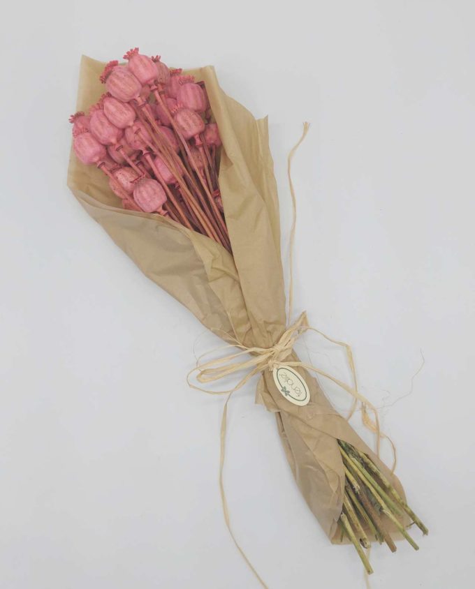 Dried Magenta Pink Papaver Bunch