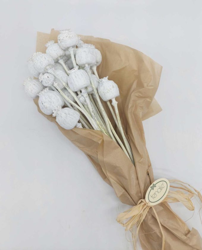 Dried White Papaver Bunch