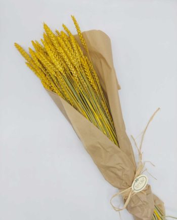 Dried Yellow Wheat Bunch