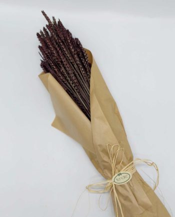 Dried Brown Wheat Bunch