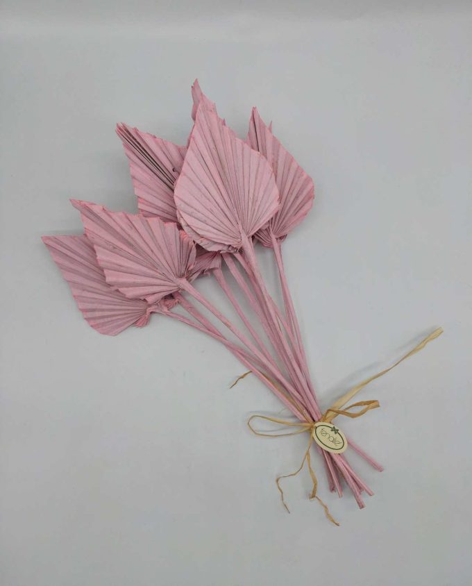 Dried Light Pink Palmspear Bunch