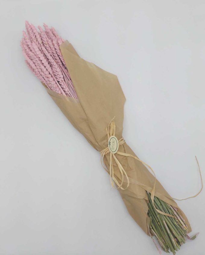 Dried Light Pink Wheat Bunch