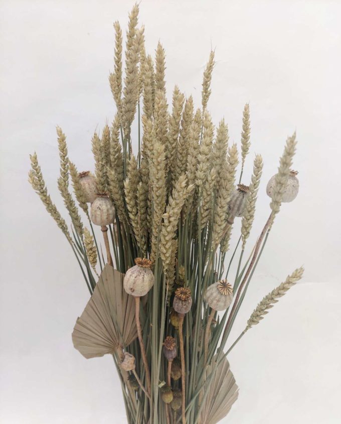 Dried Flowers Arrangement Natural