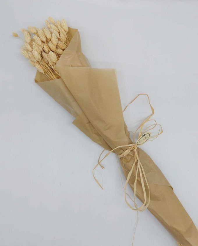 Dried "Bleach" Oats Bunch