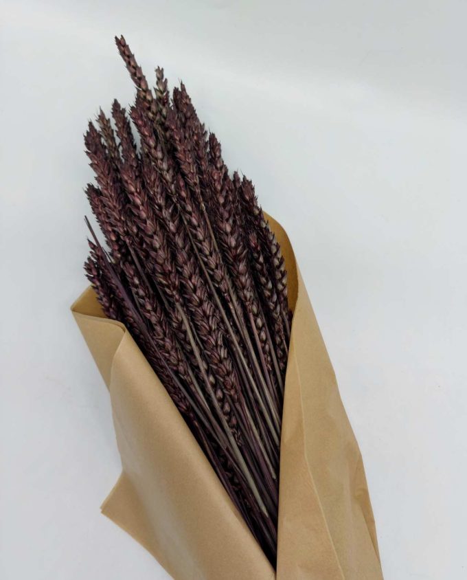 Dried Brown Wheat Bunch