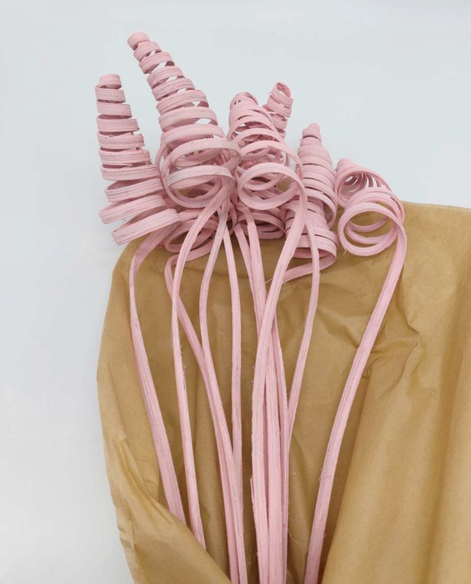 Dried Light Pink Ting-Ting Bunch