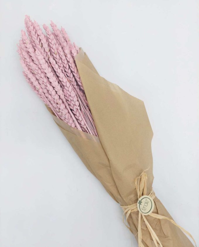 Dried Light Pink Wheat Bunch