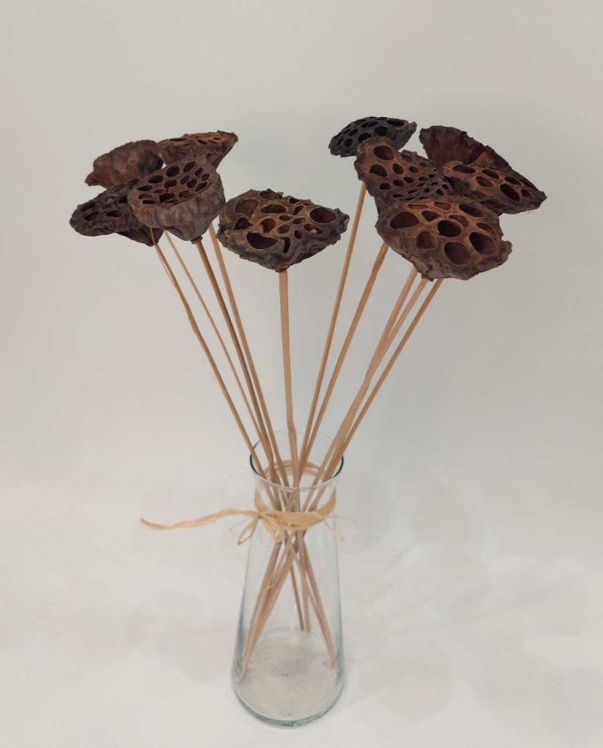 Dried Natural Lotus Bunch on glass vase