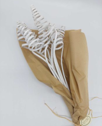 Dried White Ting-Ting Bunch