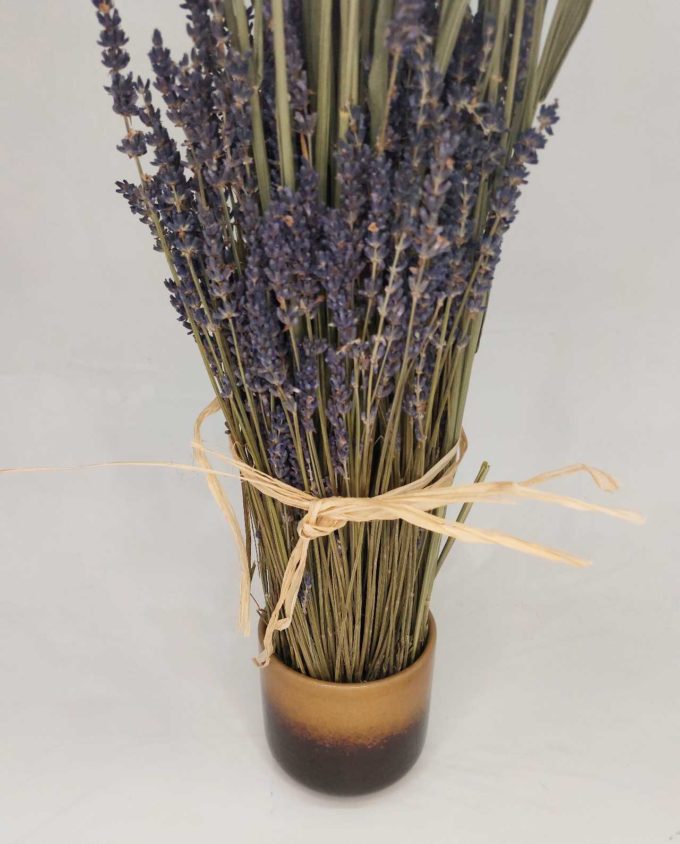 Dried Flowers Arrangement Lavender & Wheat h. 67 cm