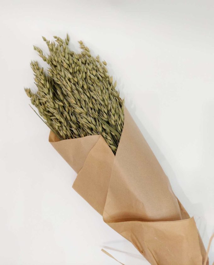 Dried Natural Oats Bunch