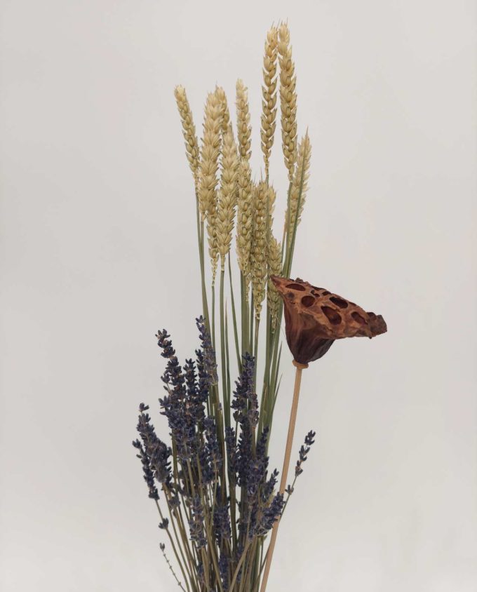 dried flowers arrangement minimal style with lavender, wheat and lotus