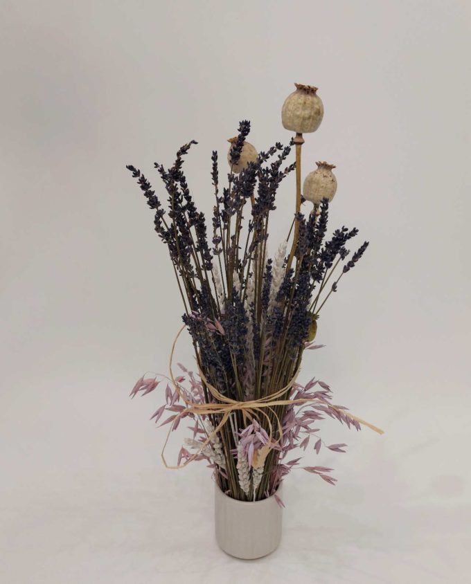 Dried Flowers Arrangement Lavender & Papaver 50 cm