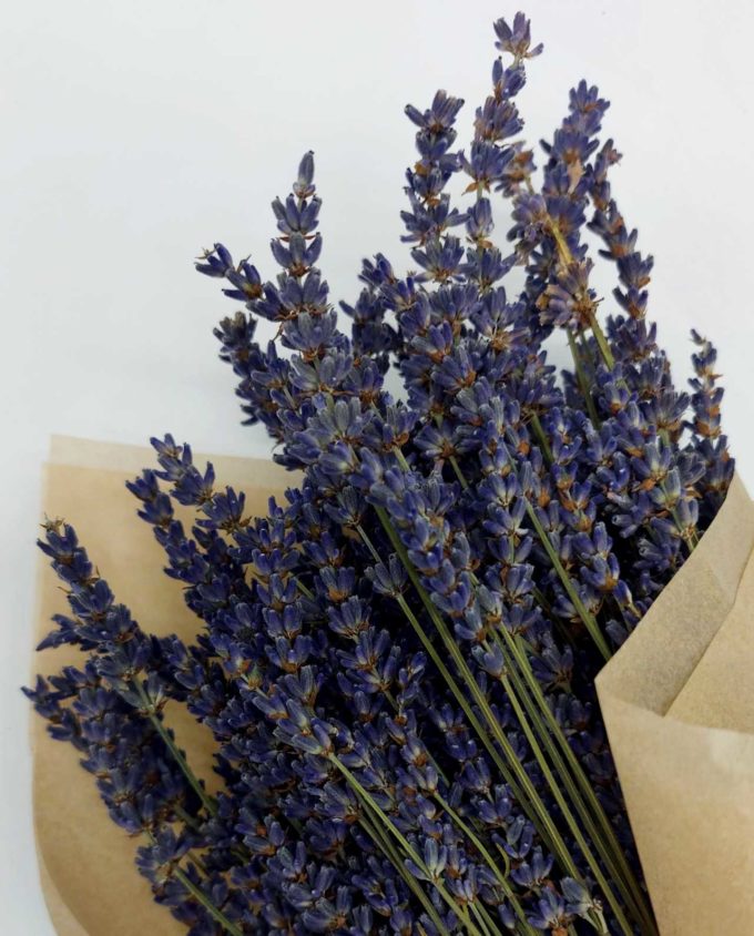 Dried Natural Lavender Bunch