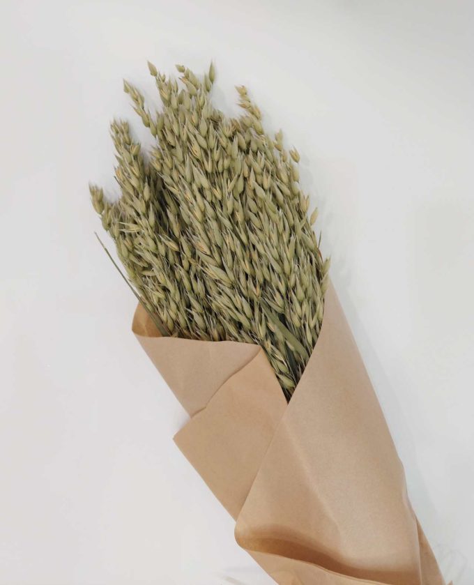 Dried Natural Oats Bunch