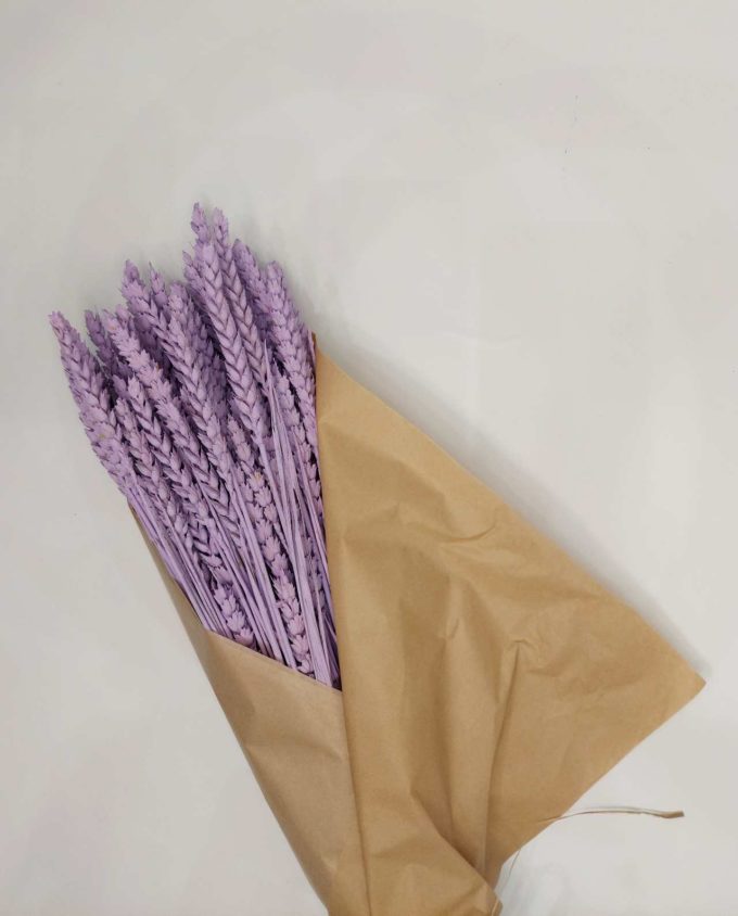 Dried Lilac Wheat Bunch