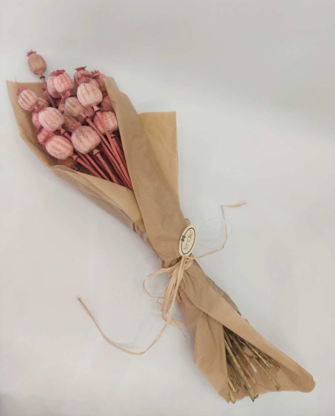 Dried Magenta Pink Papaver Bunch