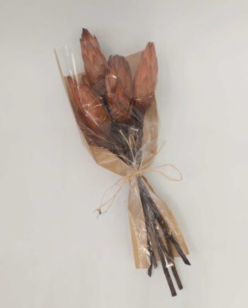 Dried Protea Bunch