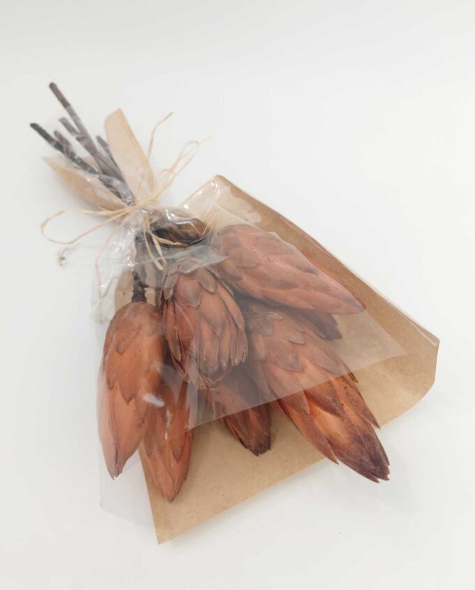 Dried Protea Bunch