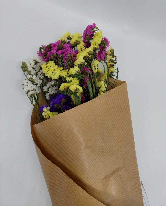 Dried Limonium Multicolor Bunch
