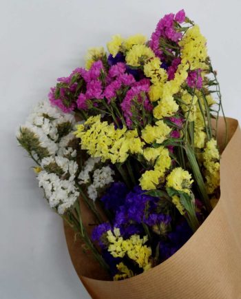 Dried Limonium Multicolor Bunch