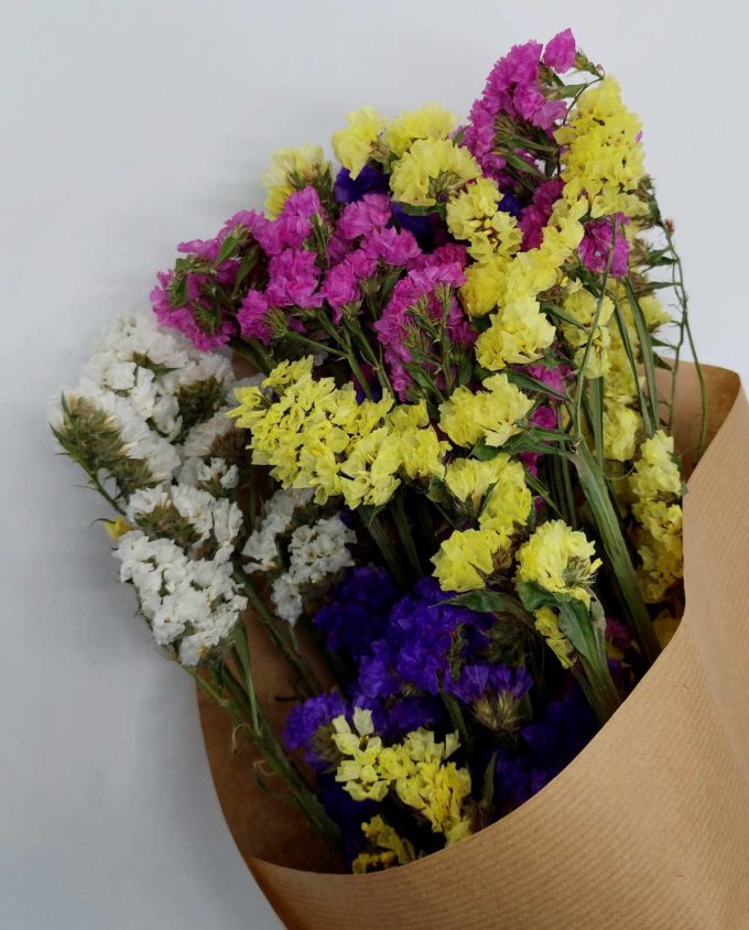 Dried Limonium Multicolor Bunch