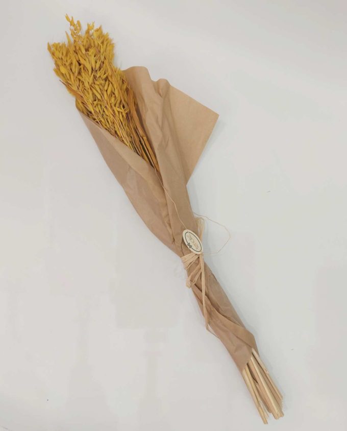 Dried Yellow Oats Bunch