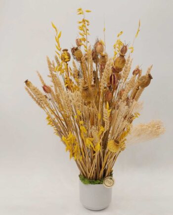 Dried Flowers Arrangement Natural- Yellow