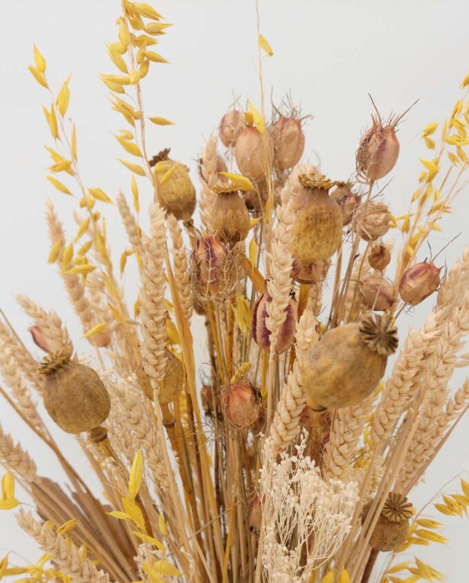 Dried Flowers Arrangement Natural- Yellow