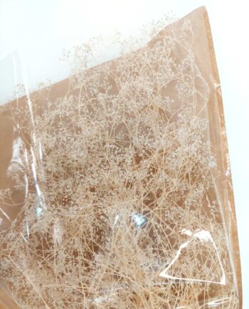 Dried White Gypsophila Bunch