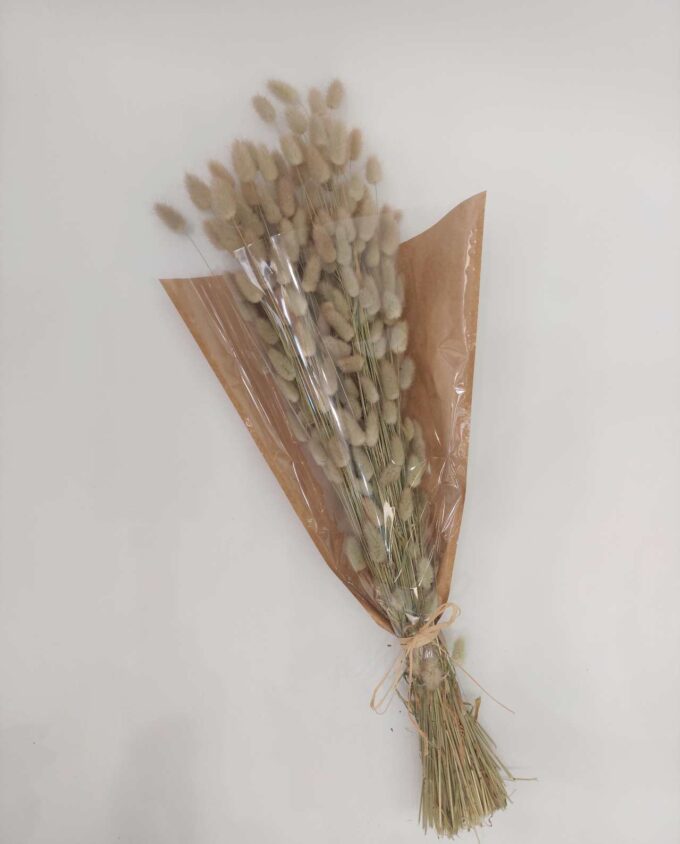 Dried Natural Lagurus Bunch