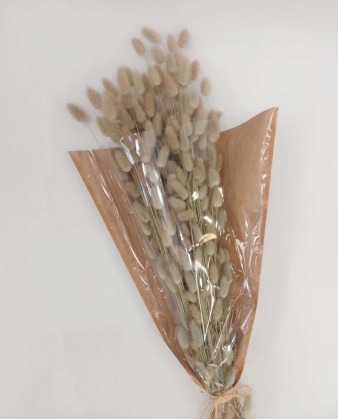 Dried Natural Lagurus Bunch