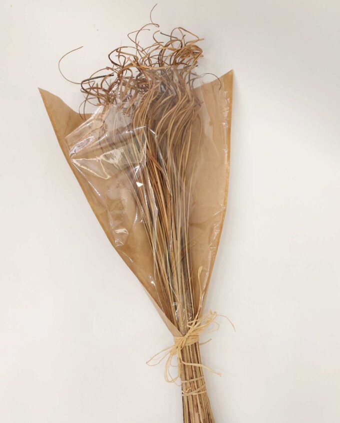Dried Natural Ting-Ting Bunch