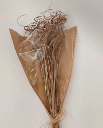 Dried Natural Ting-Ting Bunch