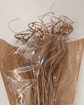 Dried Natural Ting-Ting Bunch