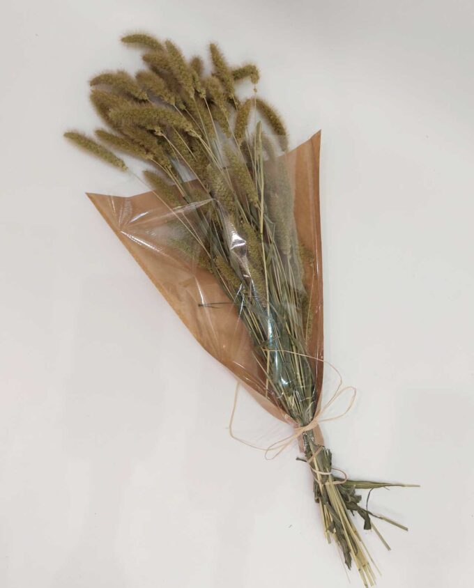 Dried Natural Setaria Bunch