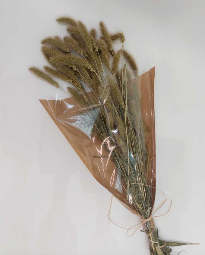 Dried Natural Setaria Bunch