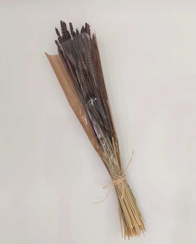 Dried Brown Wheat Bunch