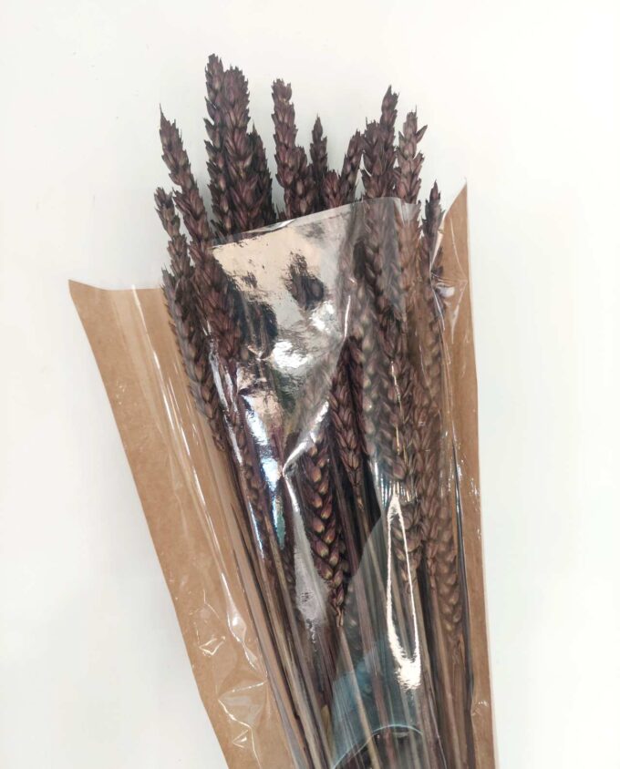 Dried Brown Wheat Bunch