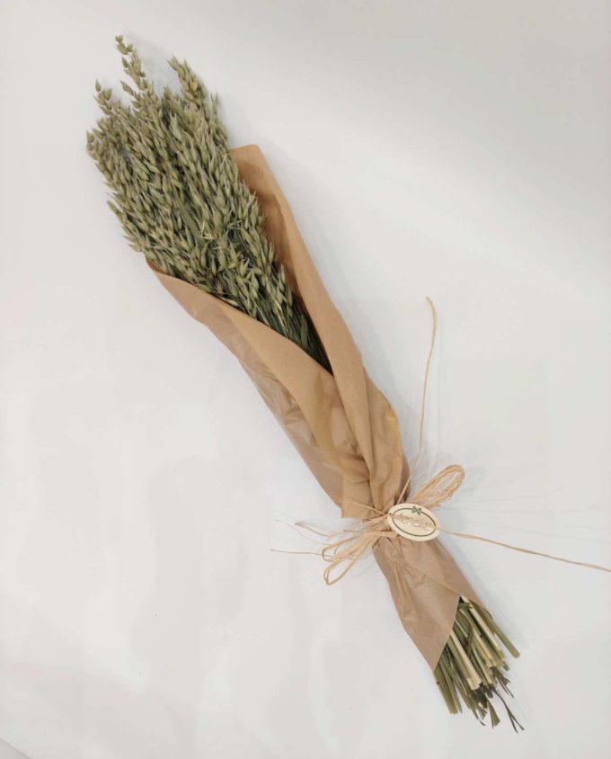 Dried Natural Green Oats Bunch