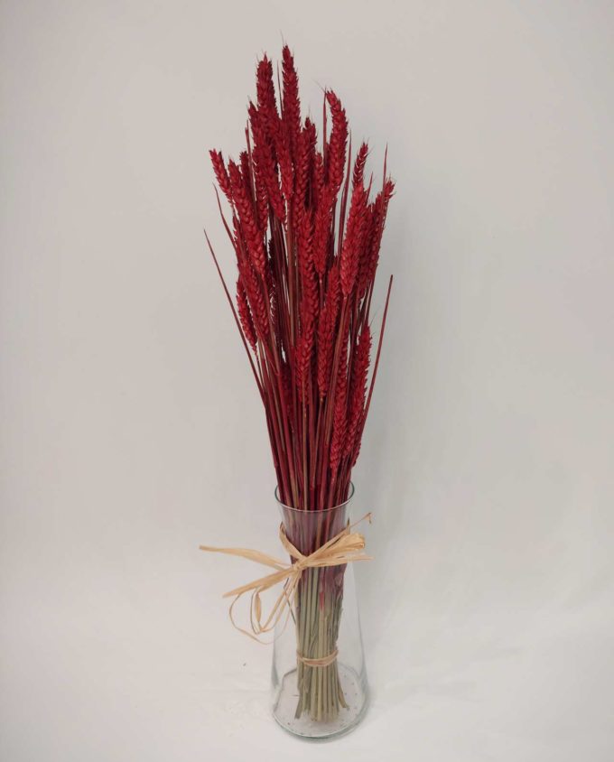 Dried Red Wheat Bunch