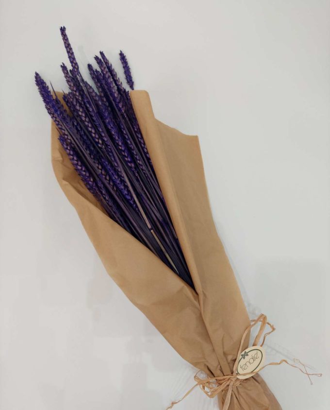 Dried Purple Wheat Bunch