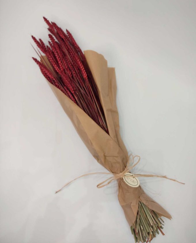 Dried Red Wheat Bunch