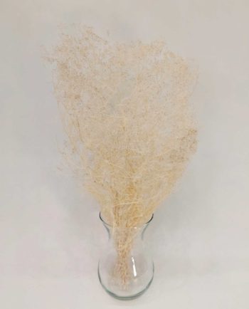 Dried White Gypsophila Bunch