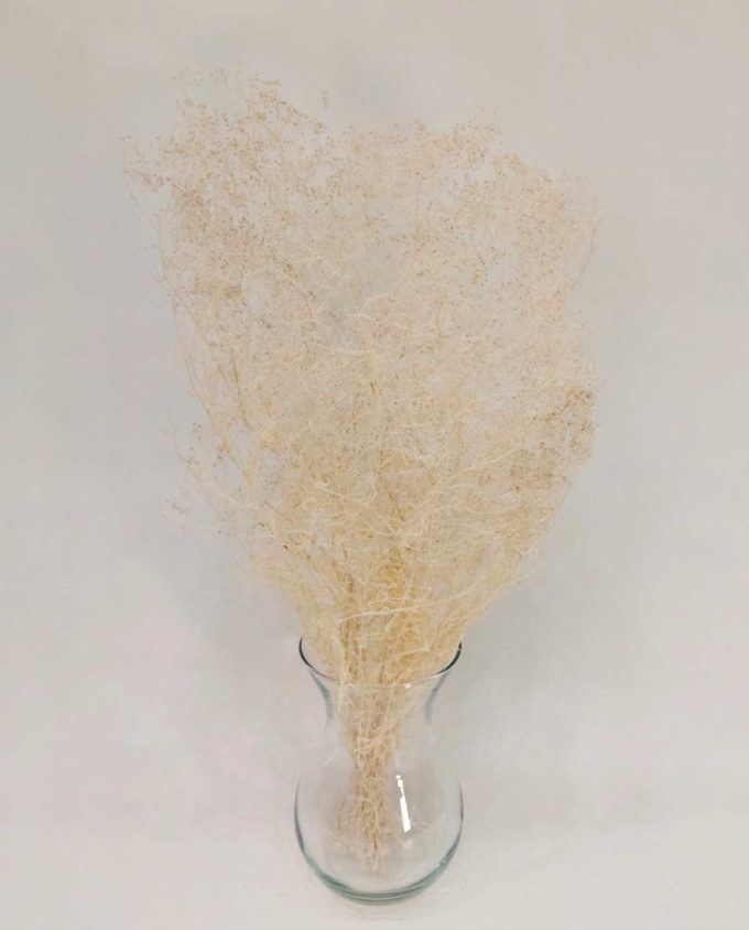 Dried White Gypsophila Bunch